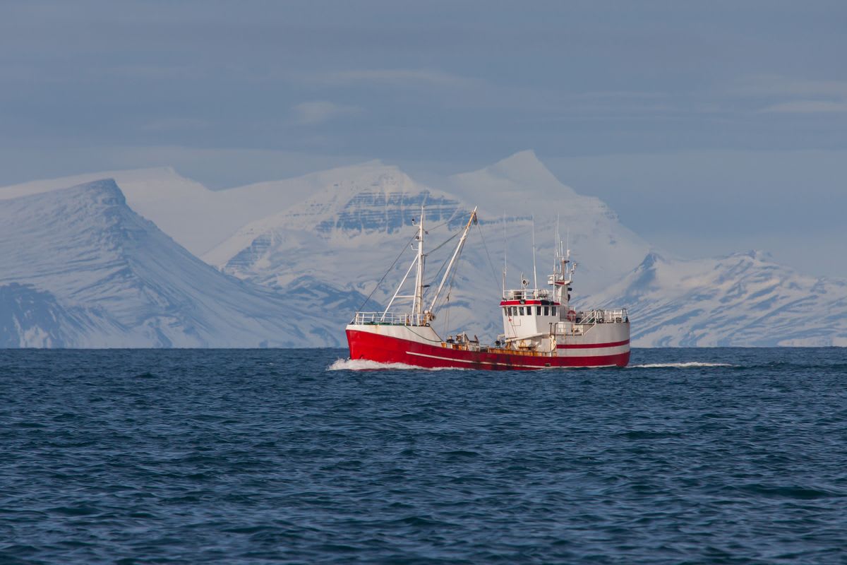 Red and white fishing boat crossing Icelandic waters with snow-covered mountains behind, illustrating deep sea fishing in Iceland
