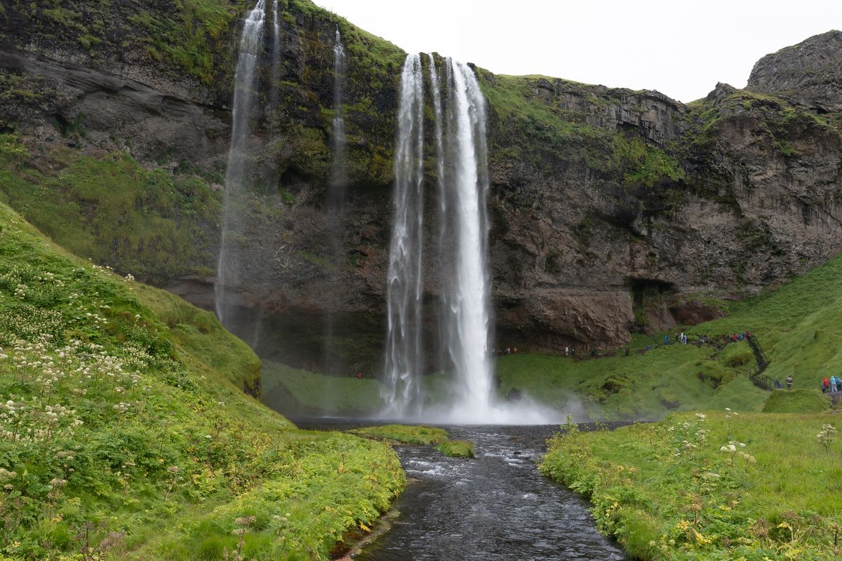 Seljalandsfoss waterfall plunges from rugged Iceland cliffs into a river, surrounded by green meadows, wildflowers, and visitors