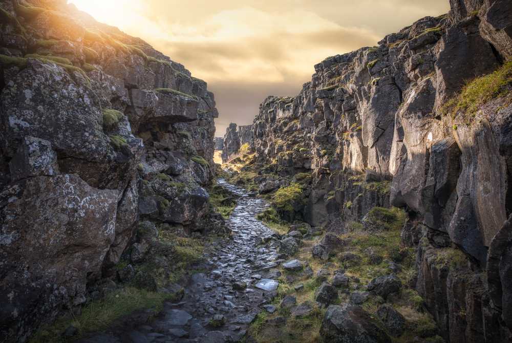 Sunset over Almannagjá gorge with a rocky stream path between mossy lava cliffs in Thingvellir National Park, Iceland’s rift valley