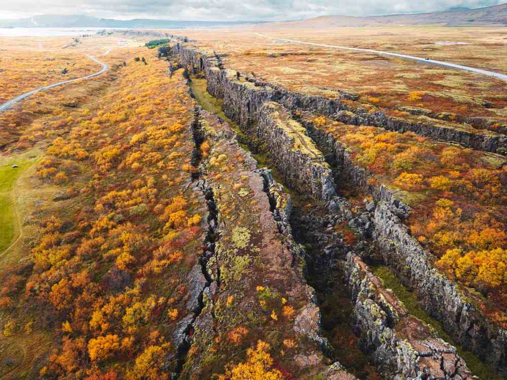 Aerial view of Almannagjá rift canyon cutting through autumn fields in Thingvellir National Park, Iceland, with roads and lava cliffs
