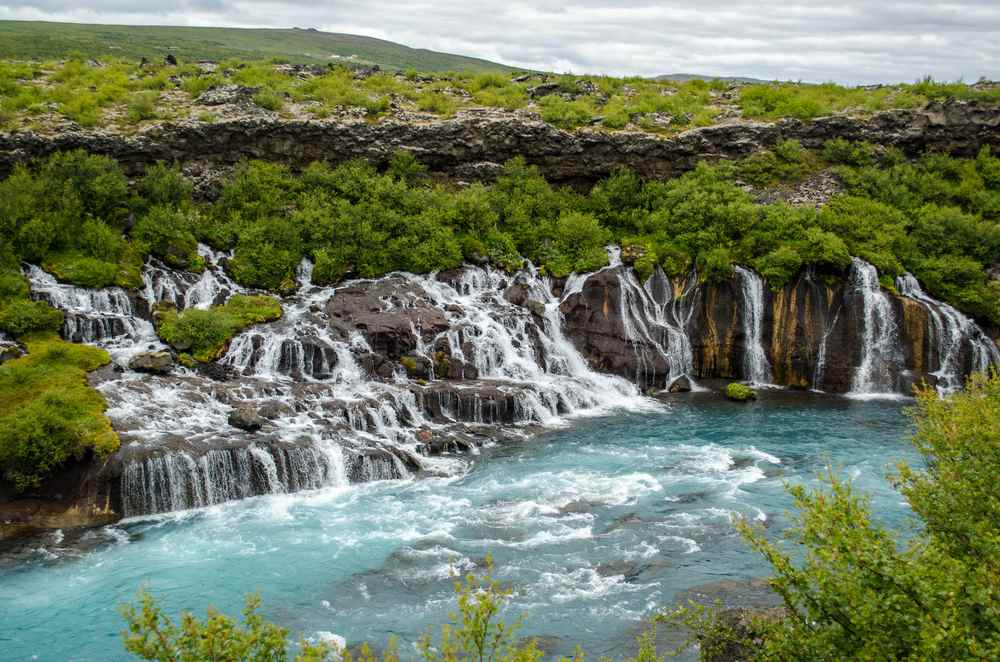 Hraunfossar cascades flowing from a moss-covered lava field into the turquoise Hvítá River beneath overcast skies in West Iceland.