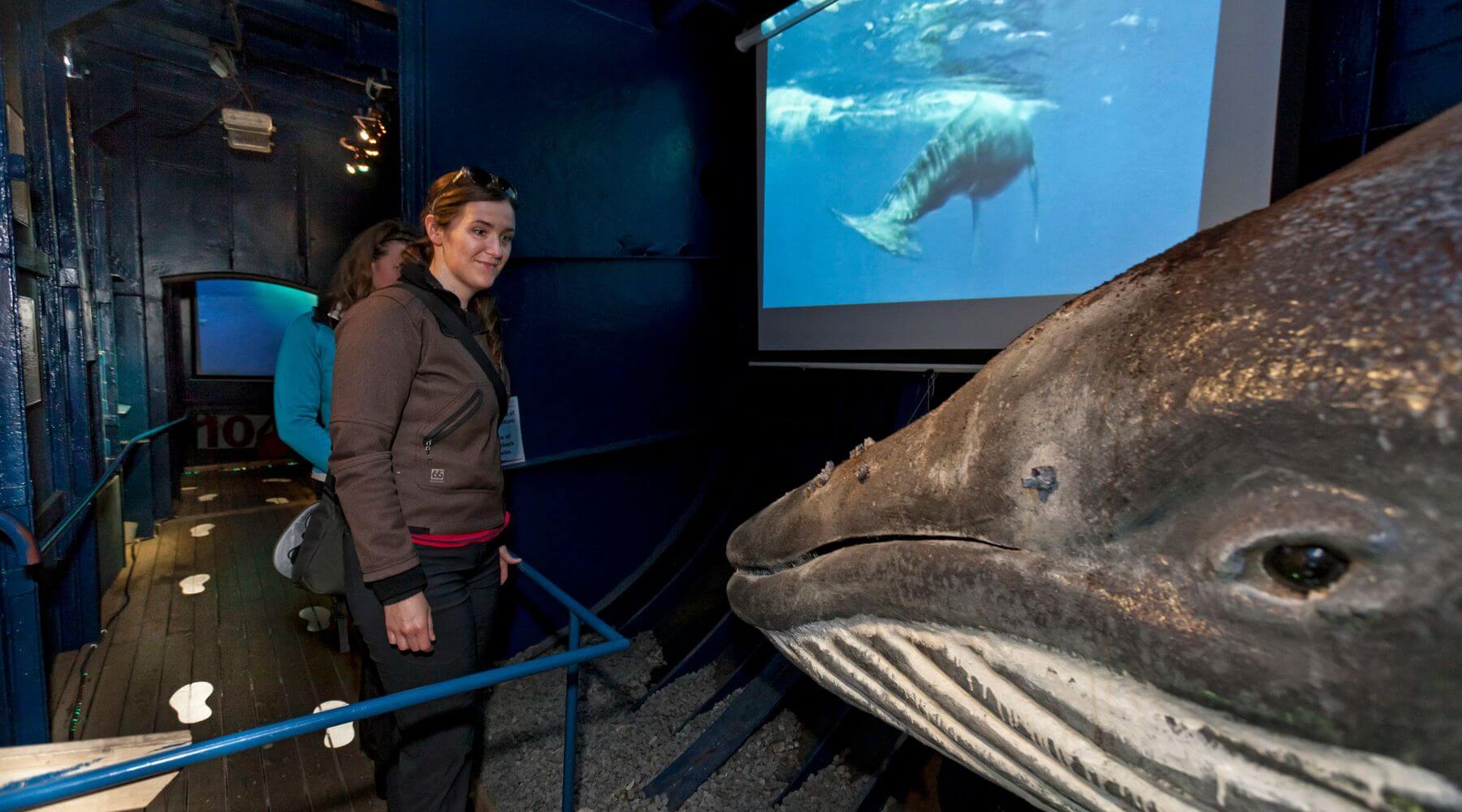 Visitatrice in una mostra sulle balene con un modello a grandezza naturale e uno schermo video
