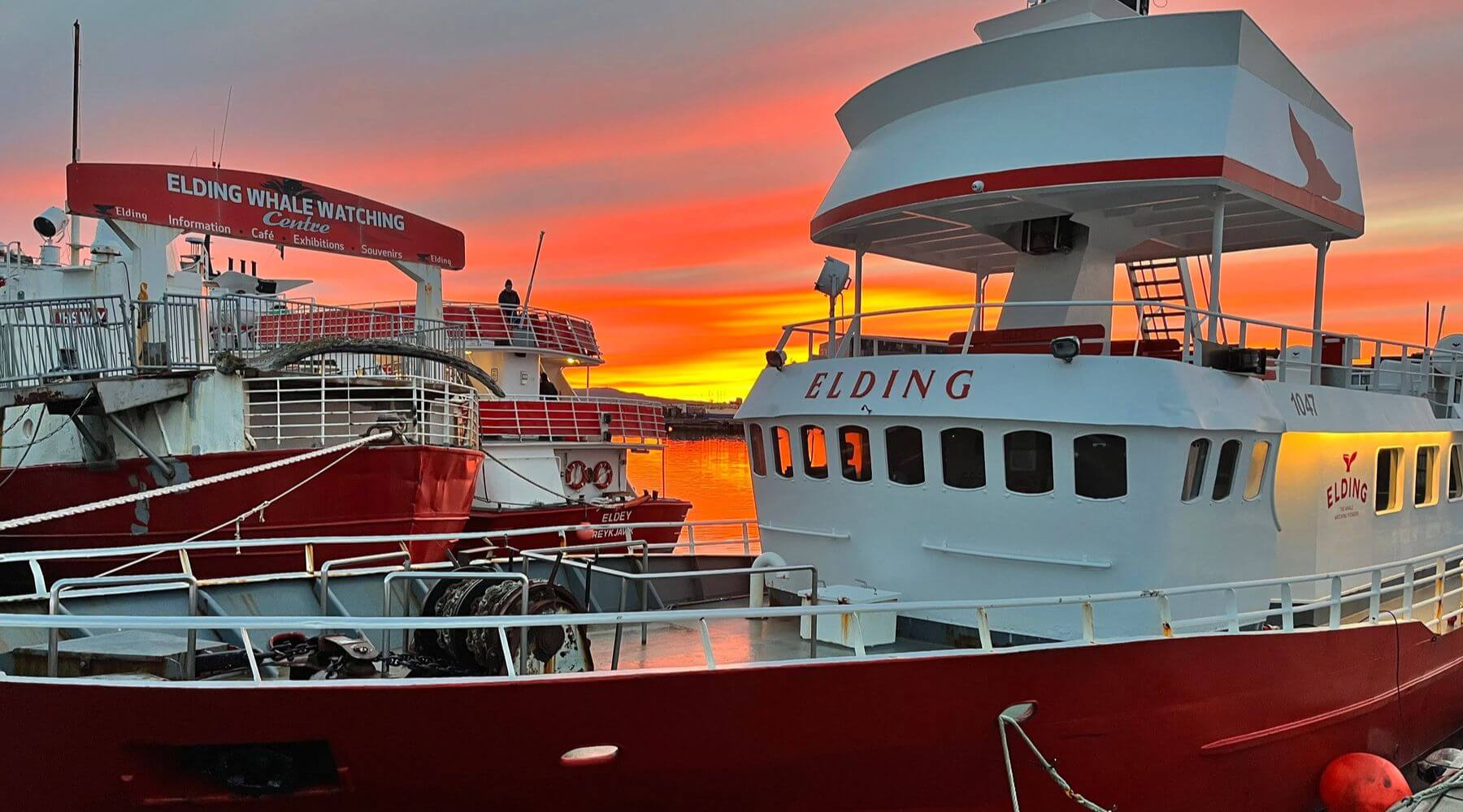 Barche Elding per l’avvistamento delle balene attraccate nel porto di Reykjavik al tramonto