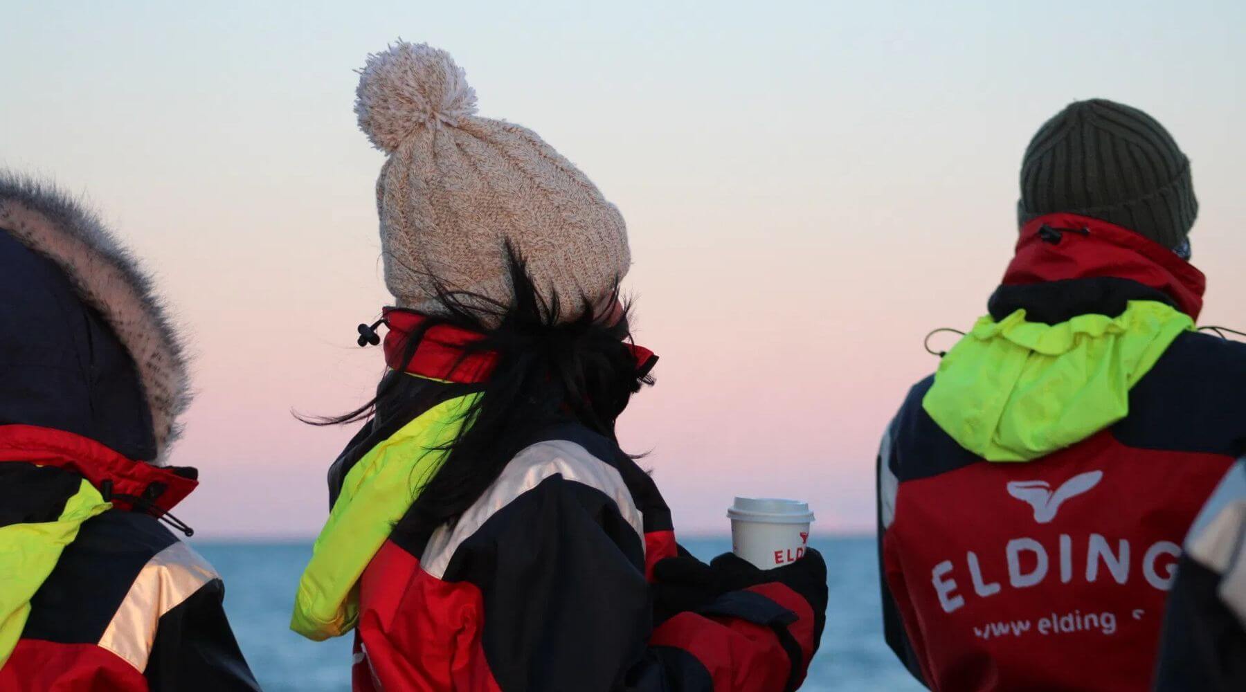 Passeggeri con tute termiche per l’avvistamento delle balene che guardano il mare al crepuscolo