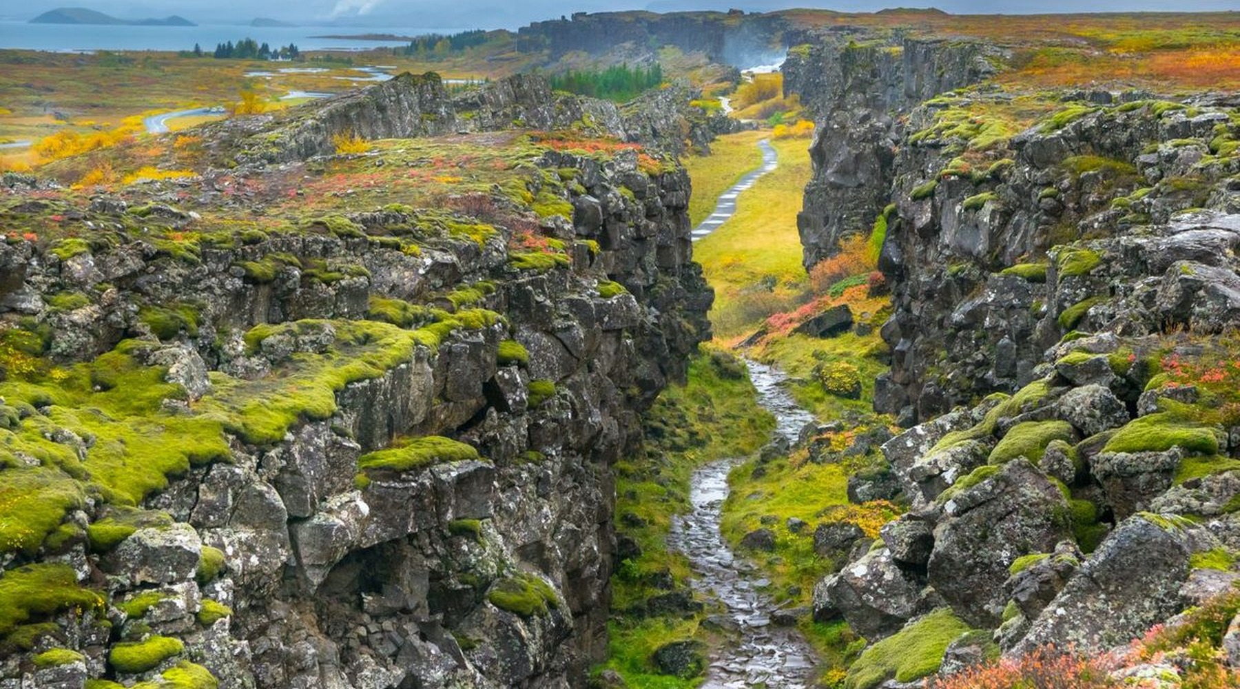 Tektonische Verwerfung mitten im Nationalpark Thingvellir.