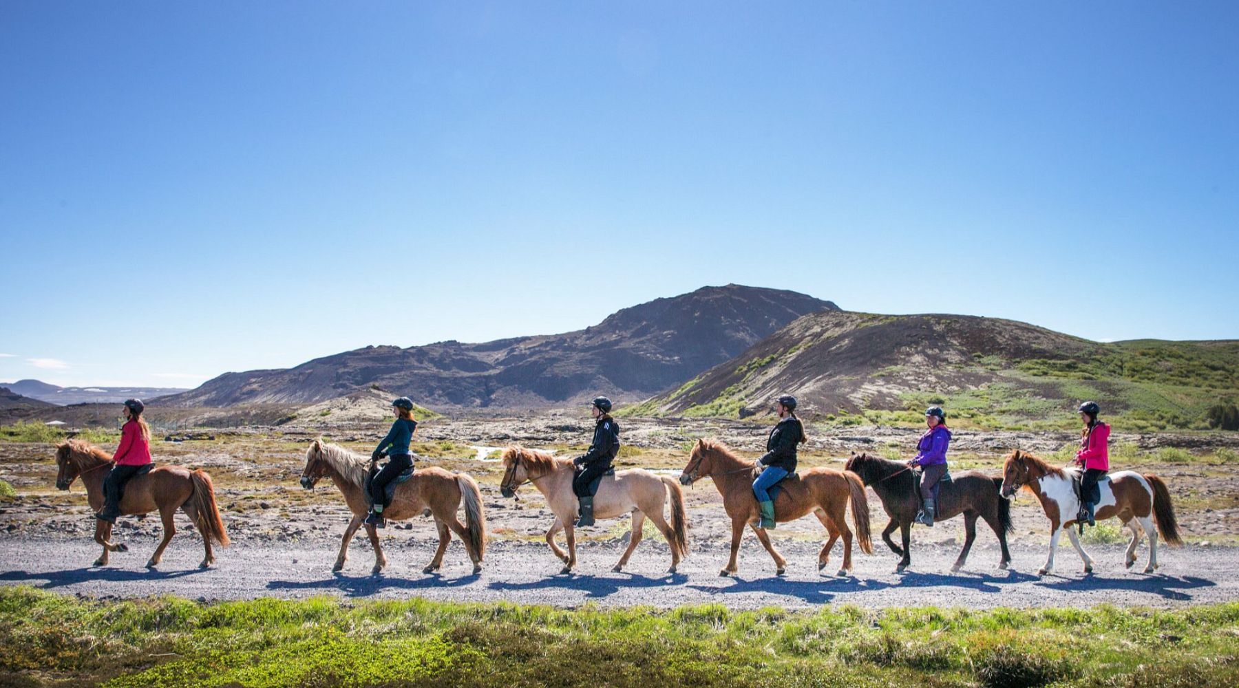 Gruppe von Touristen, die auf ihren Isländischen Pferden mitten in der Natur reiten.