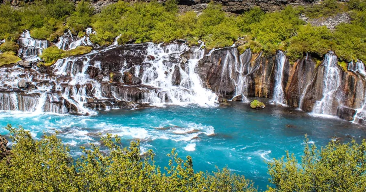 Hraunfossar Waterfall in Iceland cascading over lava cliffs into a vivid turquoise river, framed by lush green birch trees in summer