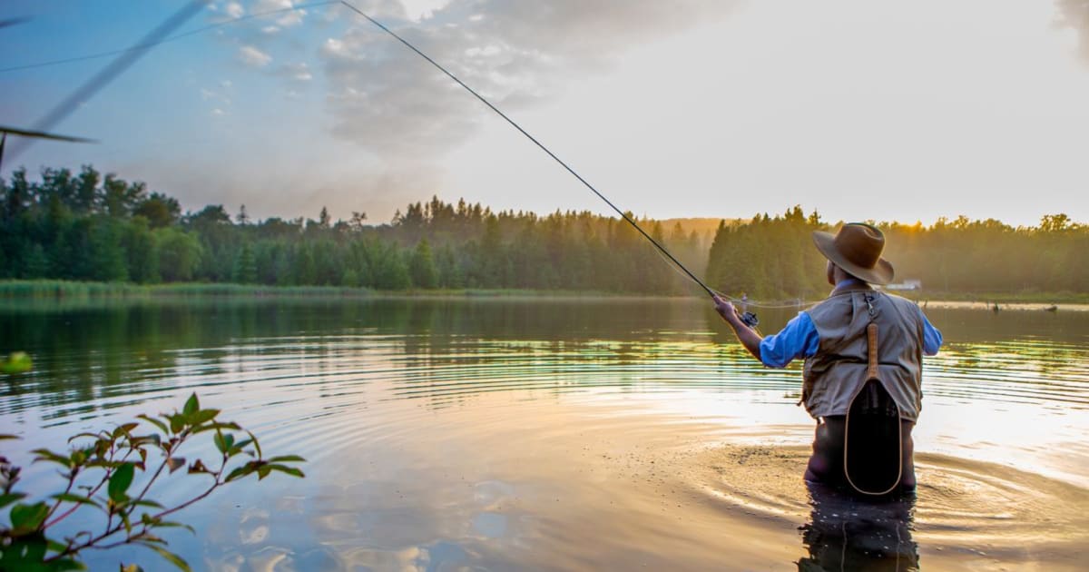 Angler fly fishing in an Icelandic lake at sunset, wearing waders and hat, with forested shoreline and golden water reflections