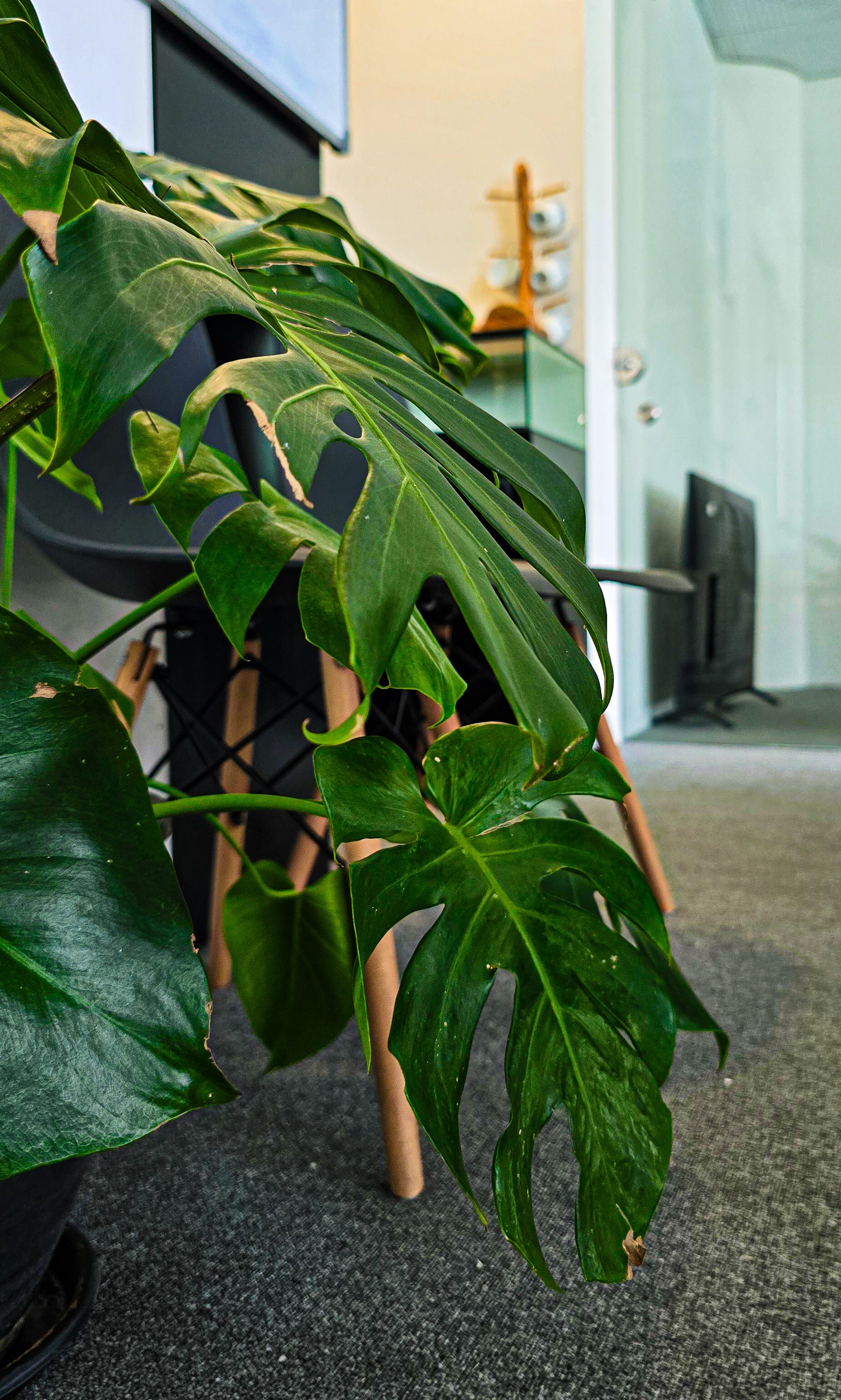 Modern office workspace