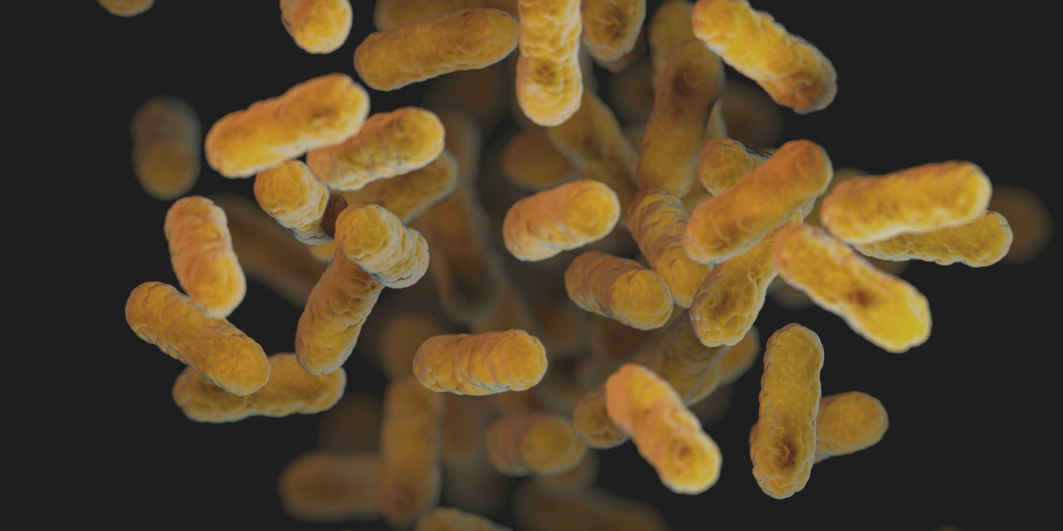 Bacterias luminosas: la nueva frontera en la lucha contra los microplásticos