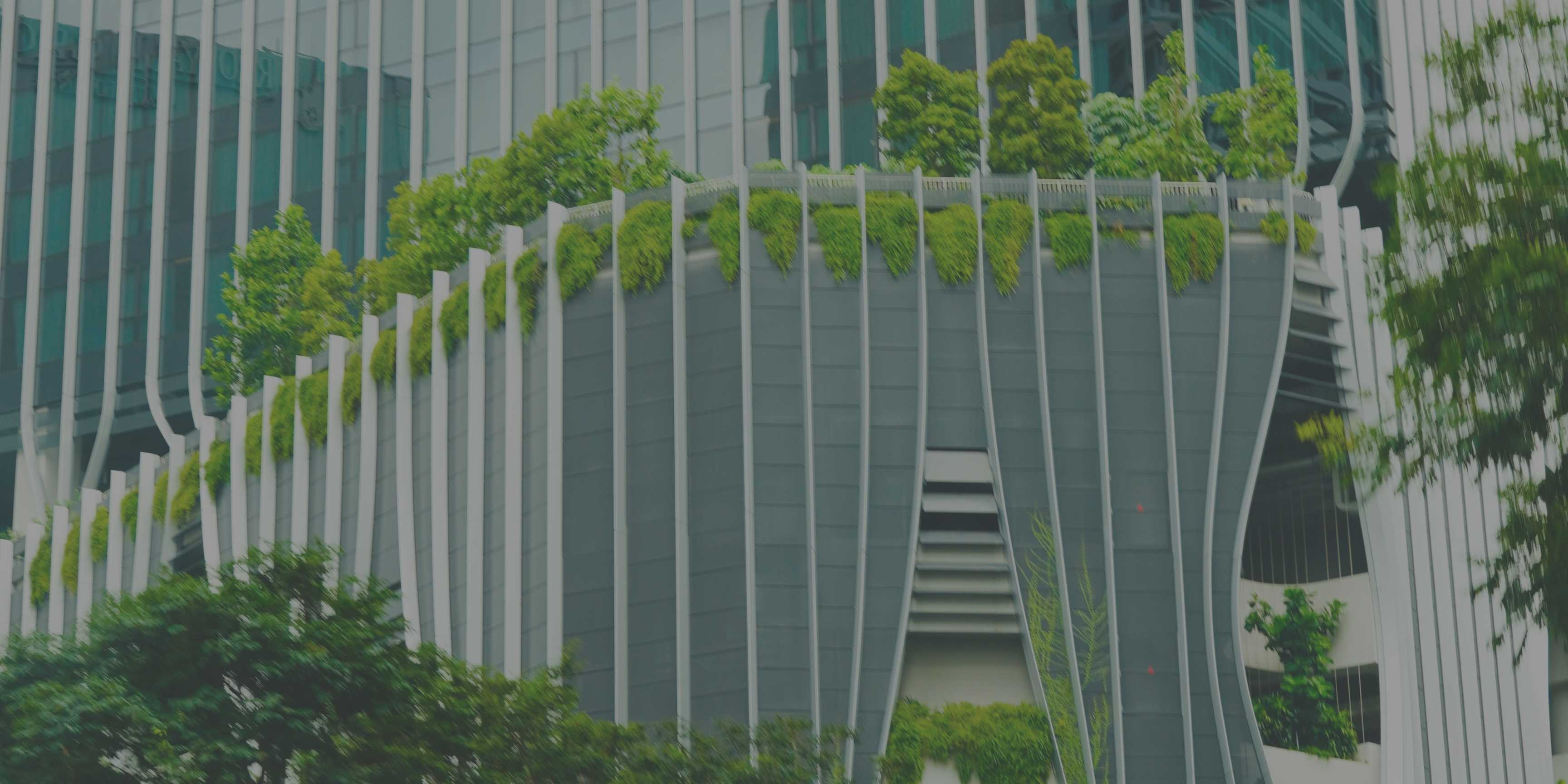 Empresas biofílicas: cuando la naturaleza inspira una nueva economía