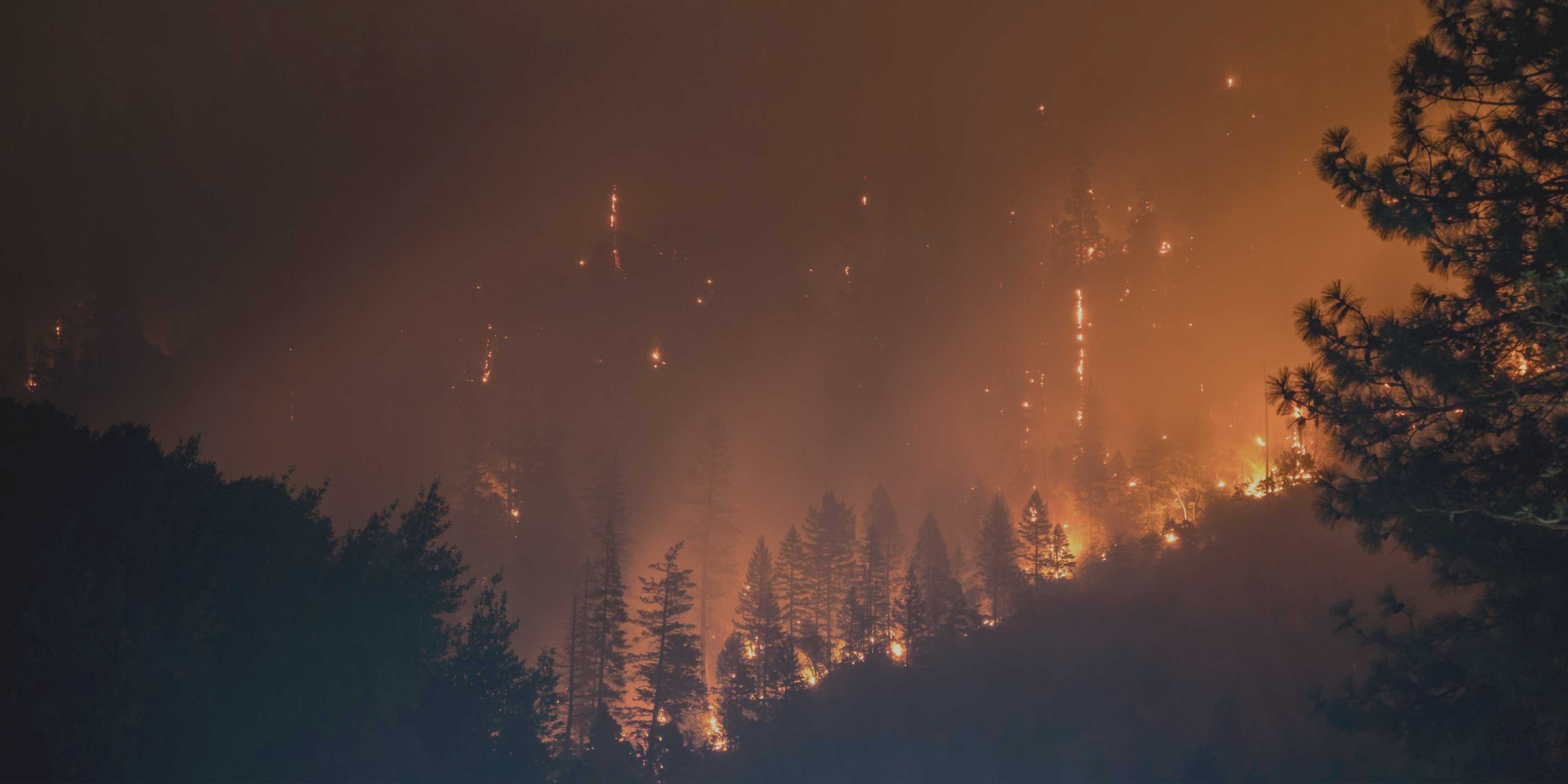 Día Mundial de la Prevención de Incendios Forestales: cuando el fuego se apaga antes de empezar