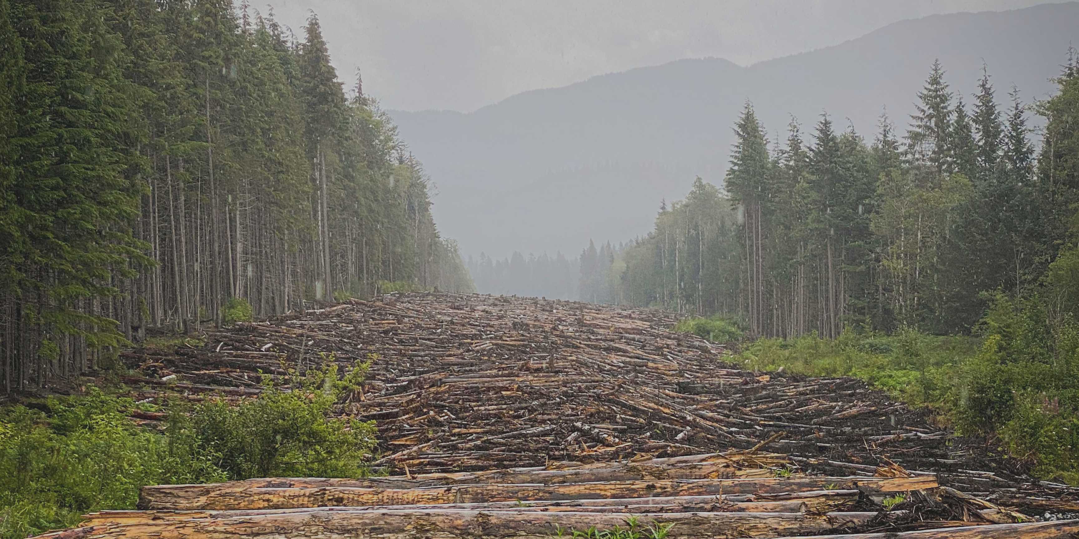 Día de la Sobrecapacidad de la Tierra: vivir con 1,8 planetas es insostenible