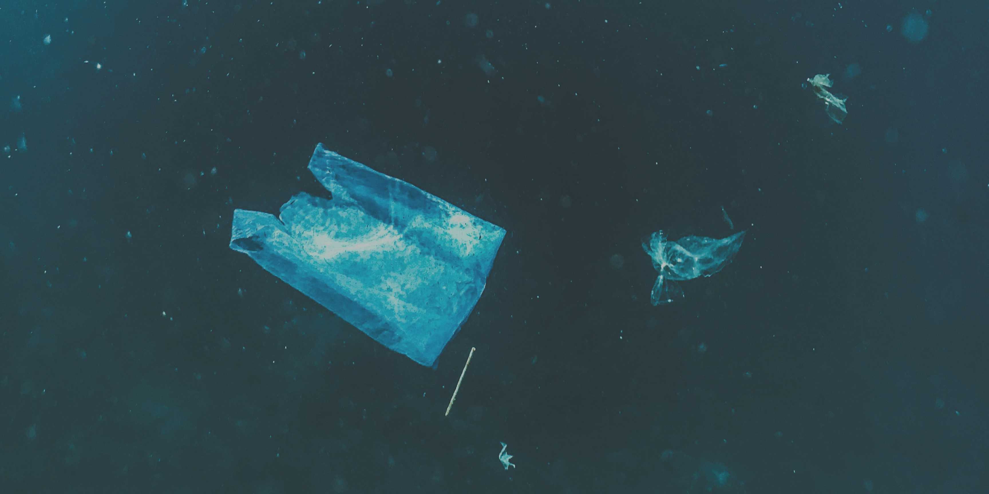 Día Internacional Libre de Bolsas de Plástico: lo que tiras no desaparece