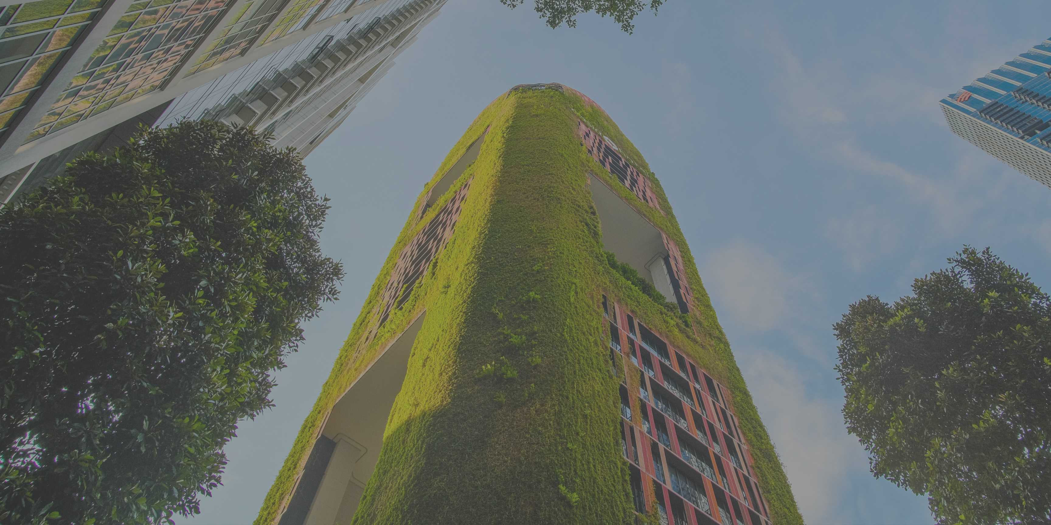 Tecnología e inteligencia artificial: aliadas para purificar el aire urbano