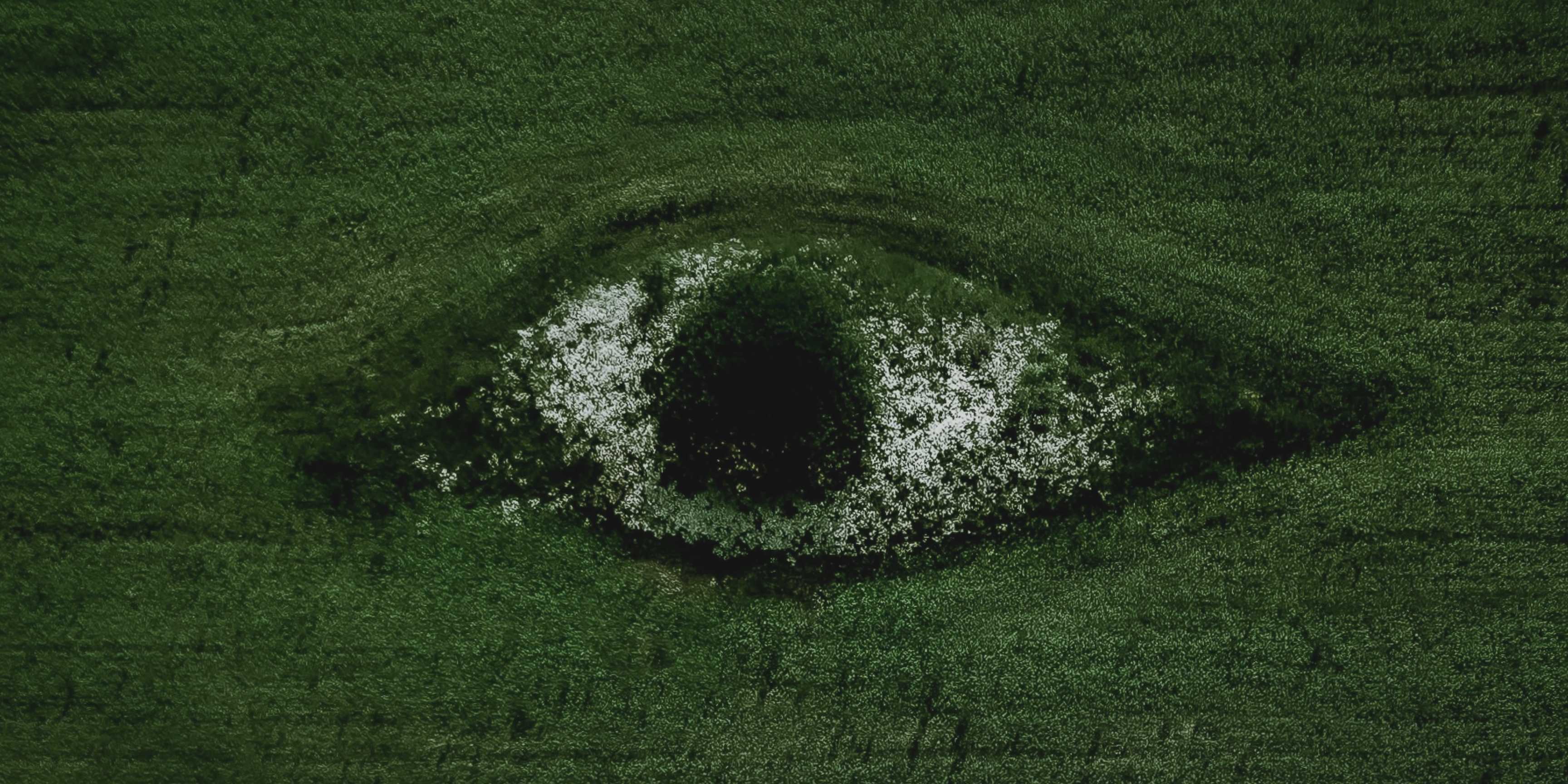 ESG 2.0: sostenibilidad con resultados medibles y liderazgo auténtico