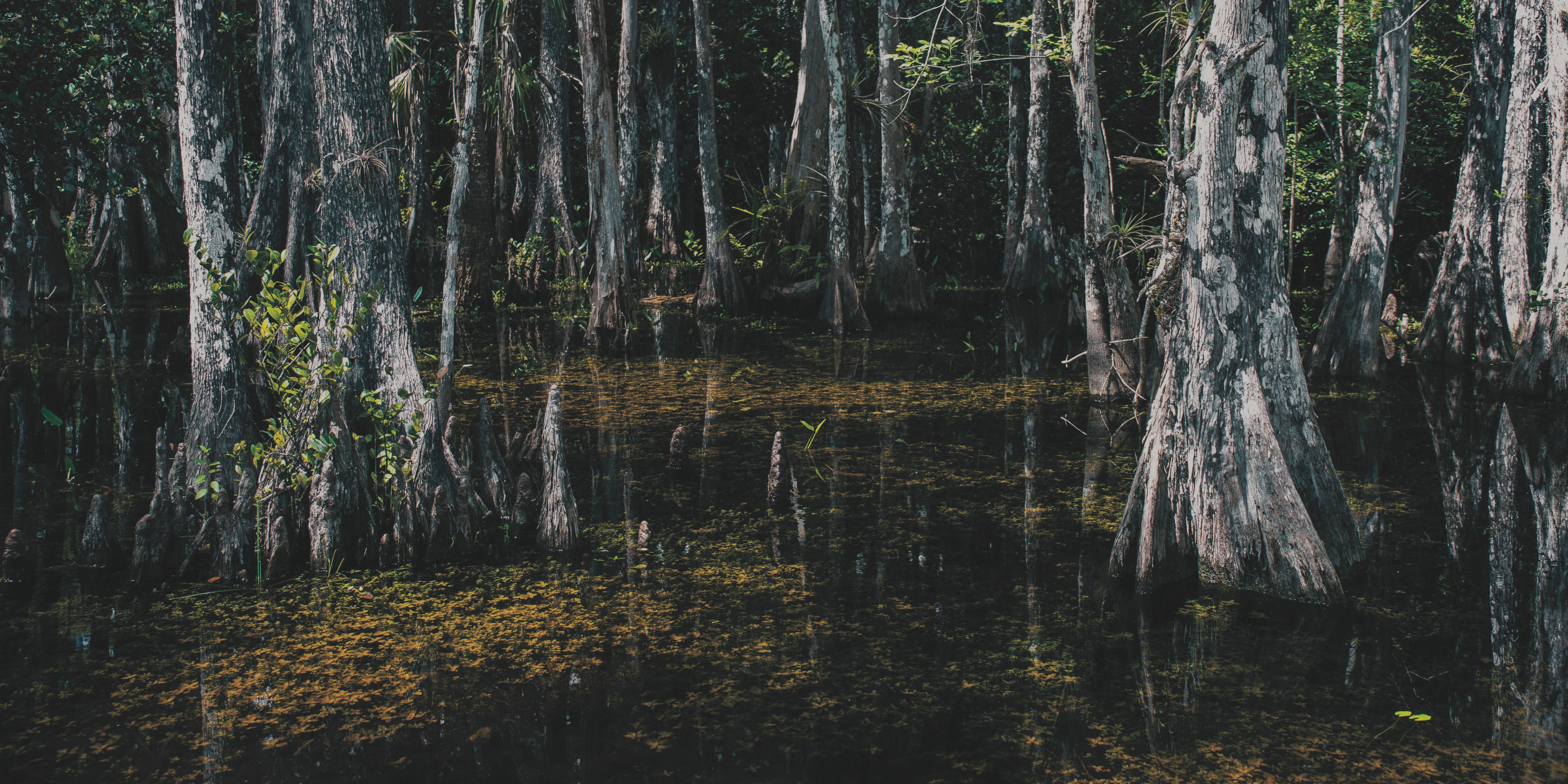 Humedales: la infraestructura natural frente a la crisis climática