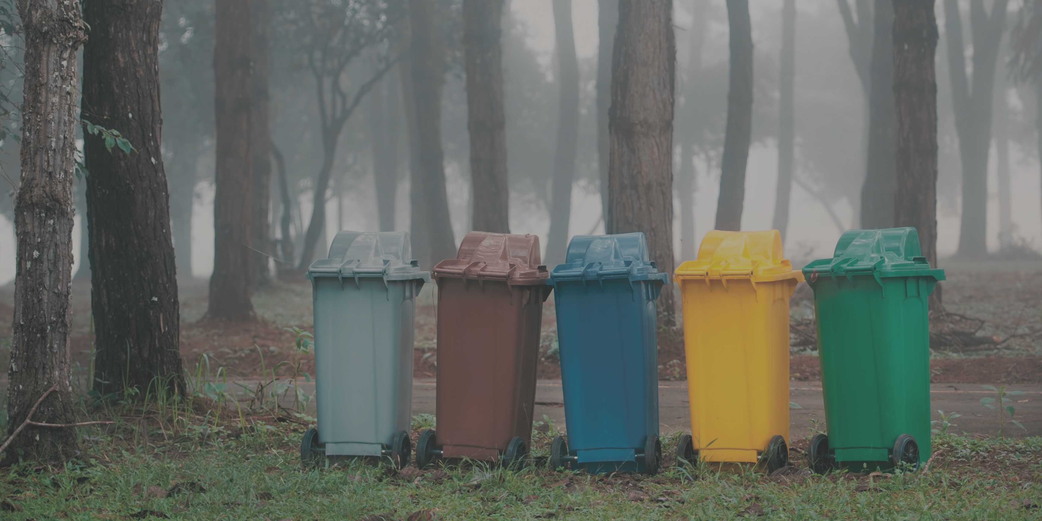 Reciclaje responsable: por qué reciclar bien es clave para reducir el impacto ambiental