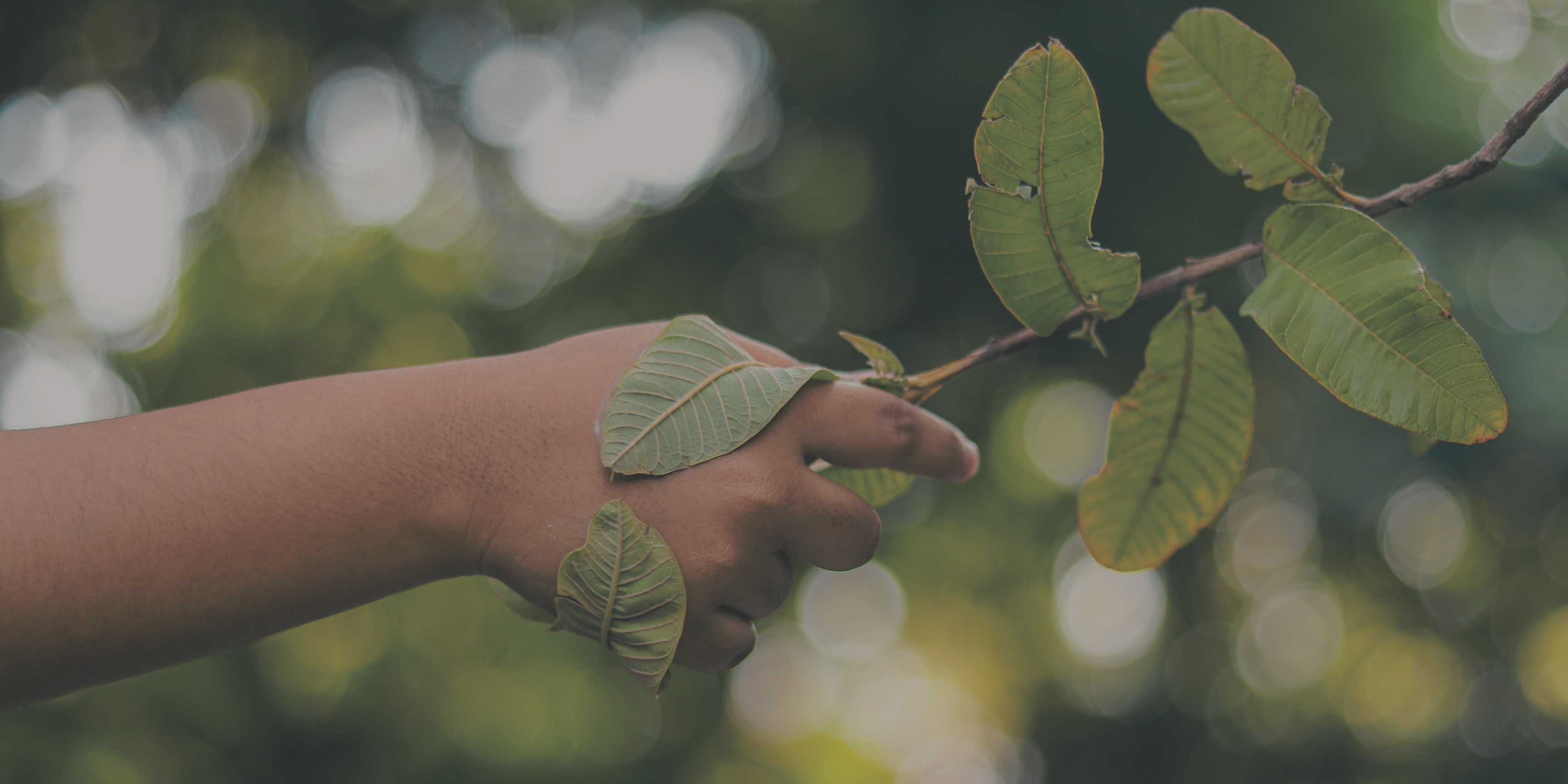 Educación ambiental: la base imprescindible para un futuro sostenible