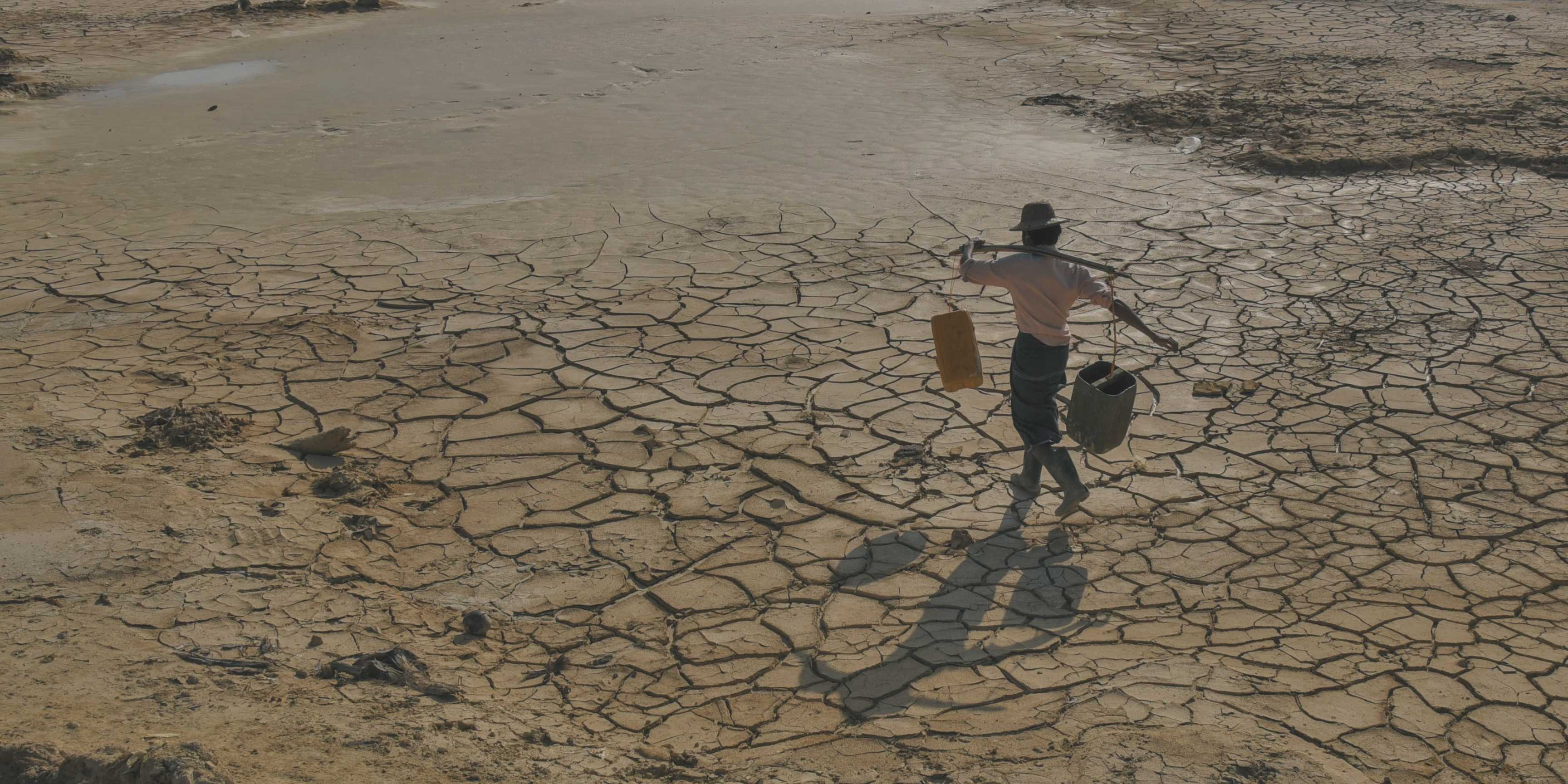 Desertificación y sequía: por qué proteger el suelo es clave para un futuro sostenible