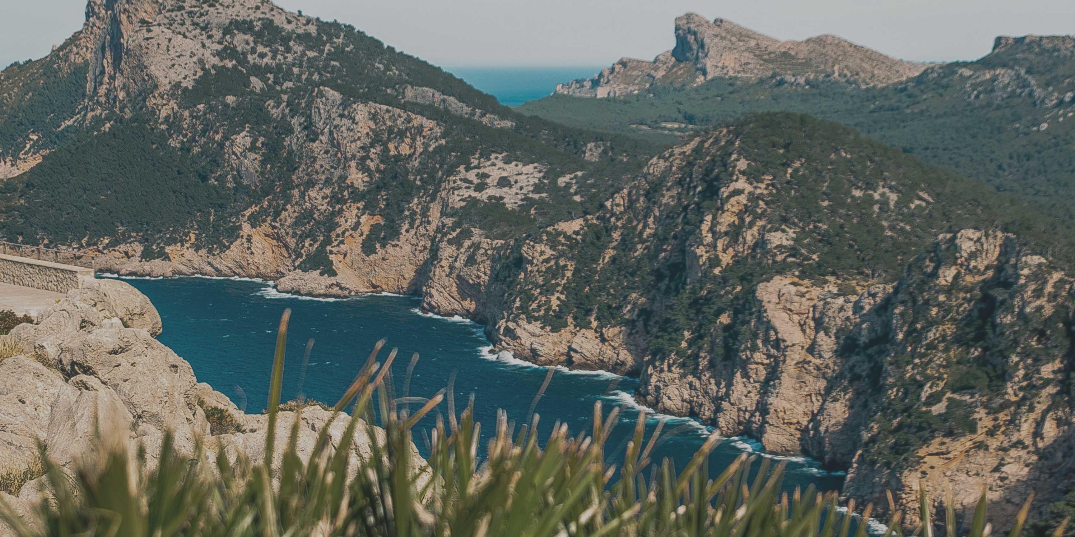 España impulsa la inversión en biodiversidad para proteger y restaurar los ecosistemas