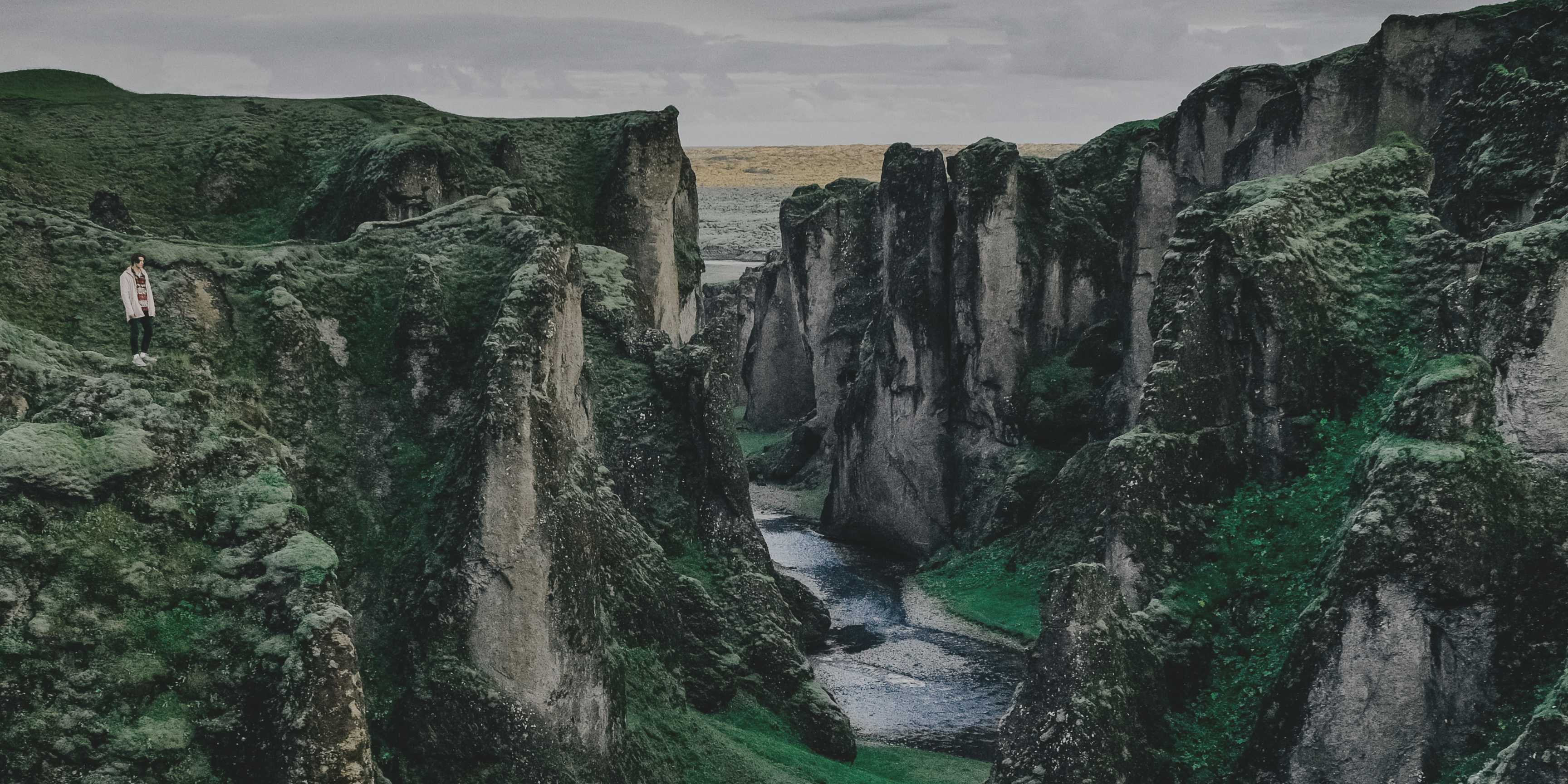 Día Mundial del Medio Ambiente: proteger la naturaleza es proteger nuestra vida