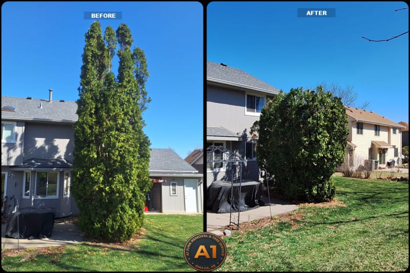 Before and after shrub trimming by A1 Junk Removal and Tree Service — overgrown shrubs shaped and cleaned up in Omaha NE