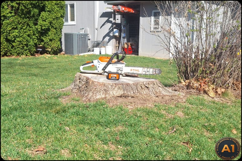 Battery-powered STIHL chainsaw on a tree stump used by A1 Junk Removal and Tree Service for eco-friendly tree work in Omaha NE
