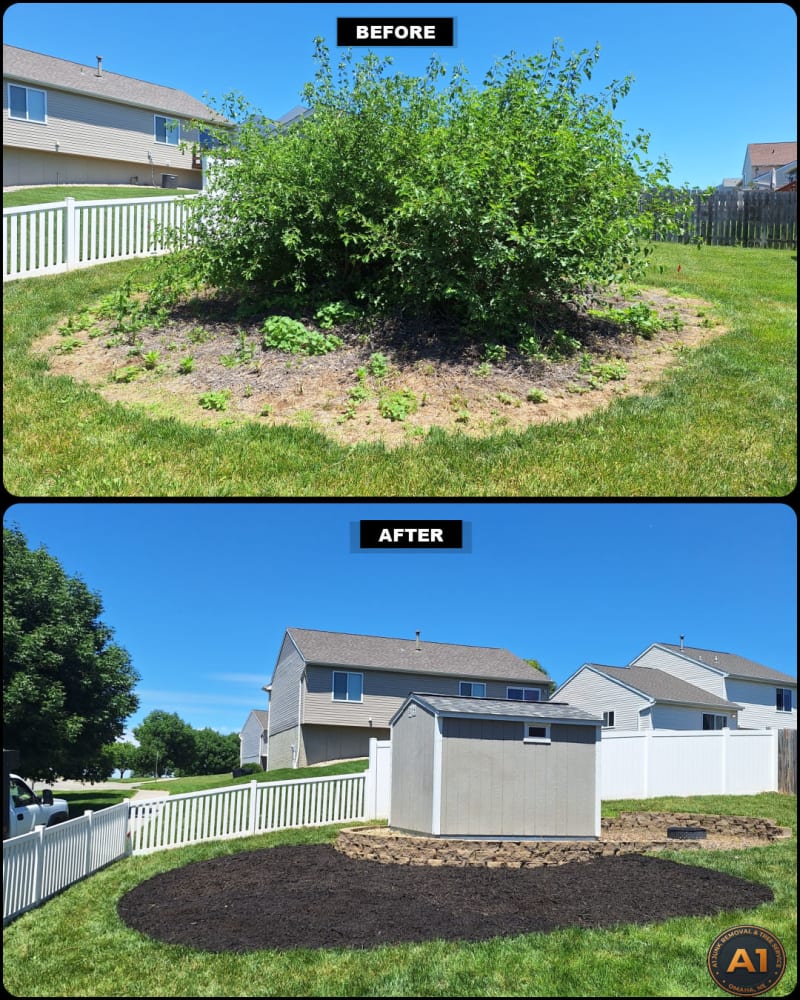 A1 Junk Removal and Tree Service overgrown brush removal and mulching before and after in Gretna, Nebraska