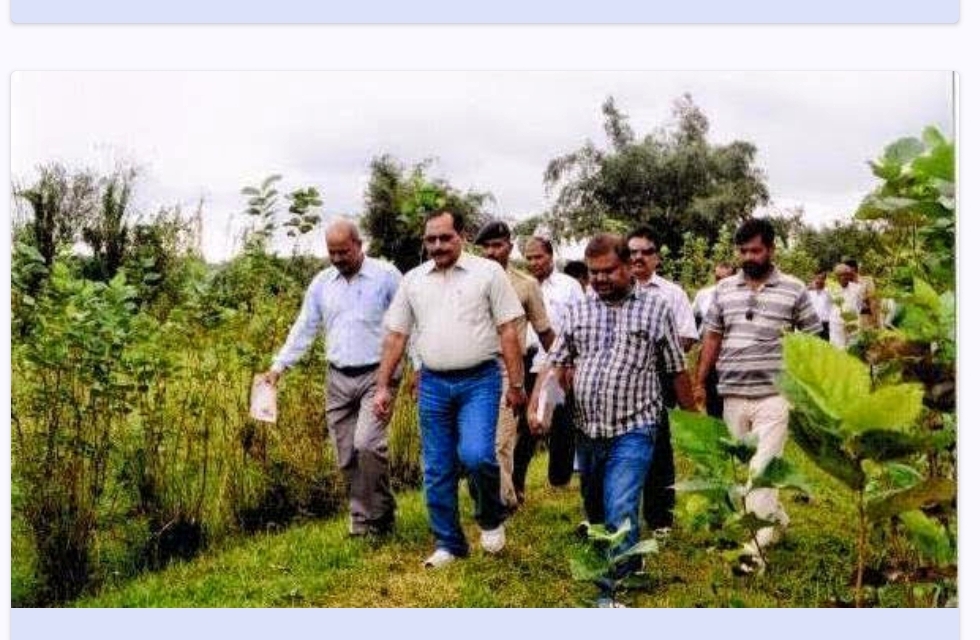 DM Kishanganj Sri Aditya K Das inspecting Mulberry plantation