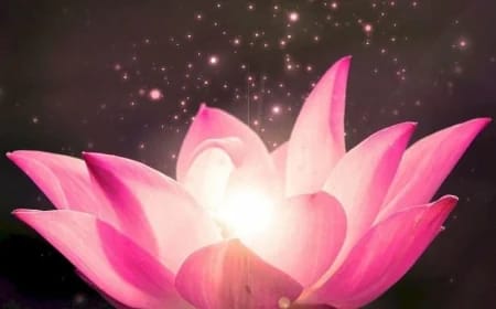 Ngày Phật Đản - nguyện cho thế giới an bình hạnh phúc