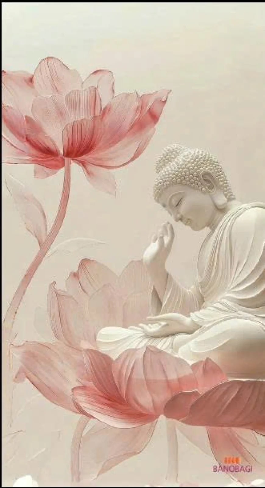 Ý nghĩa & nghi thức tụng kinh A Di Đà đầy đủ nhất