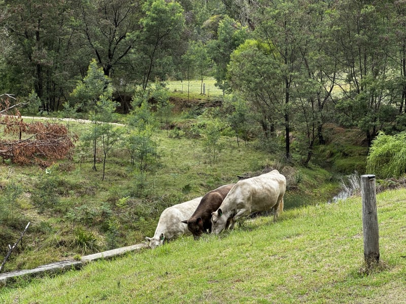 Photo from Coos and Roos — hivl1ncgdekr4jujntn1