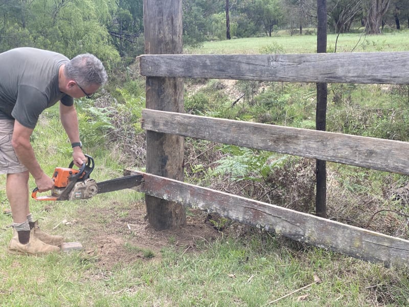 Photo from Coos and Roos — uqilqnz9cxb1ghjrywf9