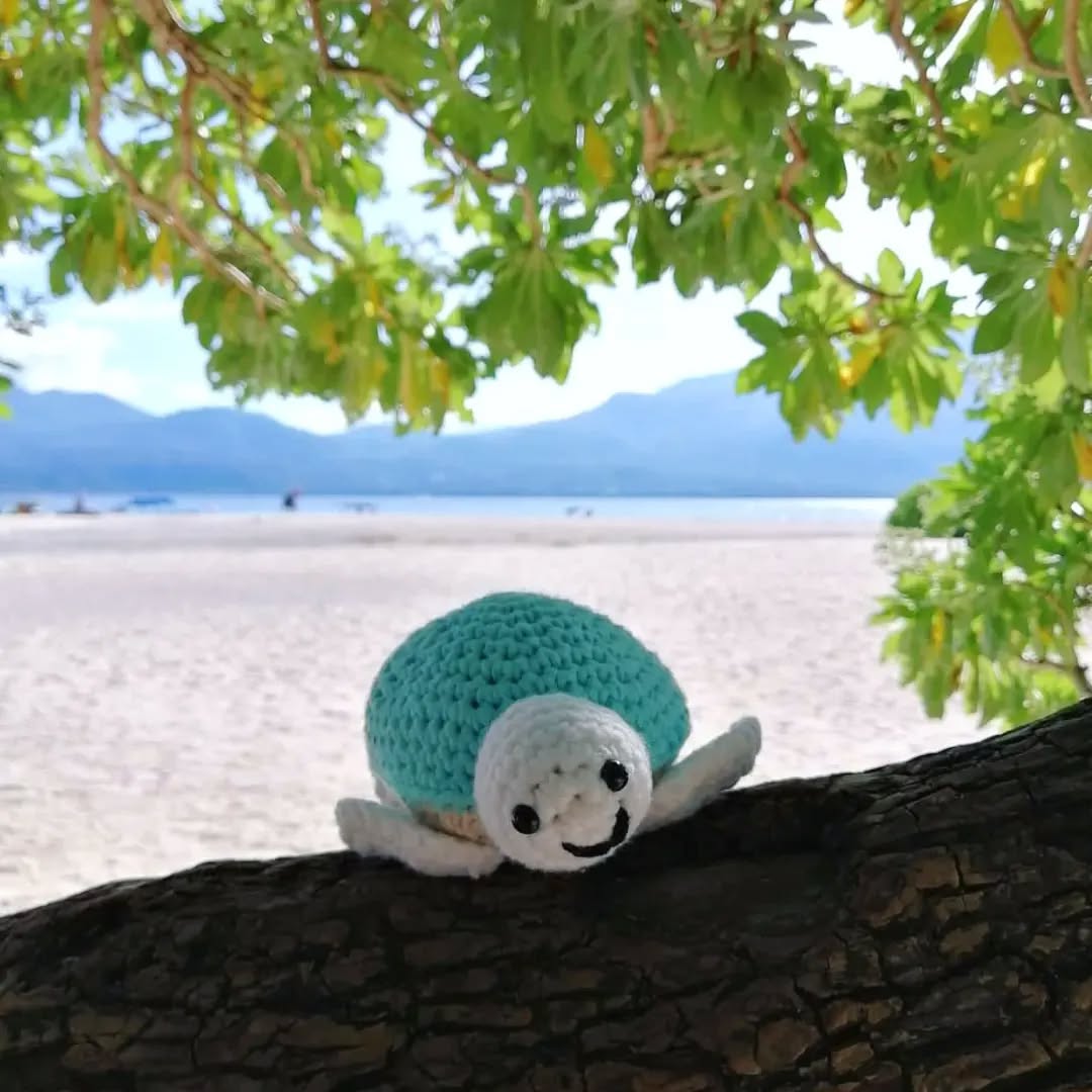 Phoebe the Runaway Turtle stuffie