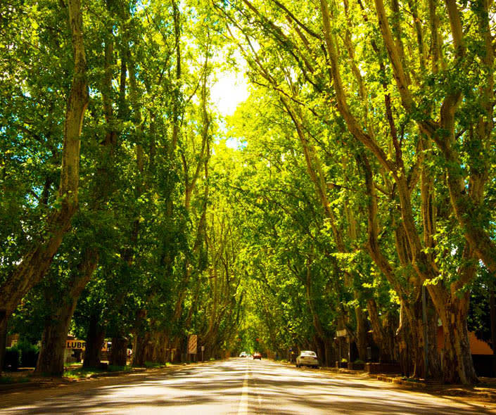 imagen de Colonia Caroya en Córdoba Argentina