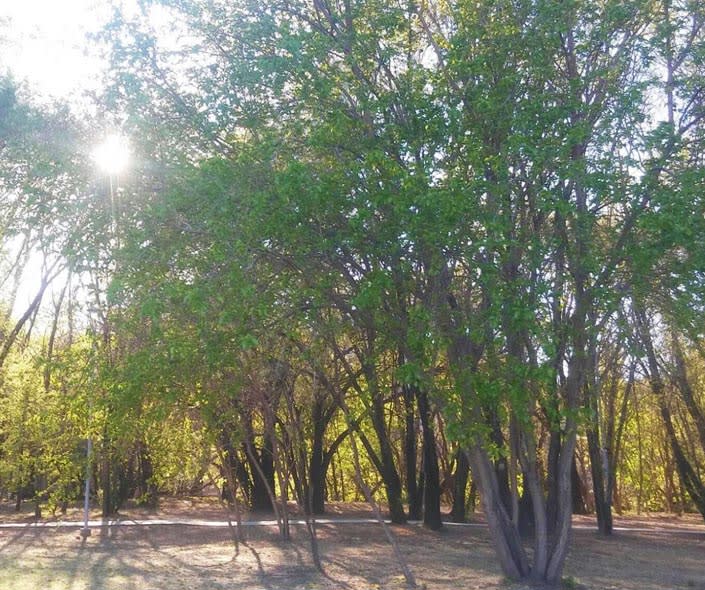 imagen 2 del Parque del Kempes en Córdoba Argentina