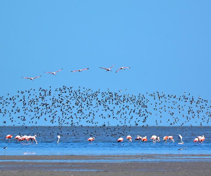 imagen 2 de Laguna Mar Chiquita en Córdoba Argentina