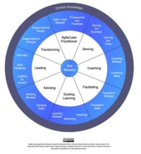 Agile Coaching Growth Wheel icon