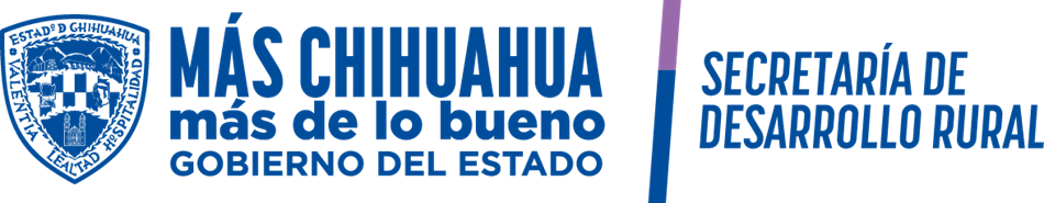 Logo SDR
