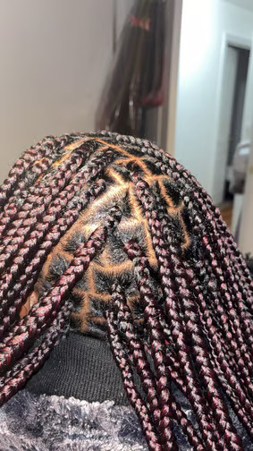 Eve’s garden hair