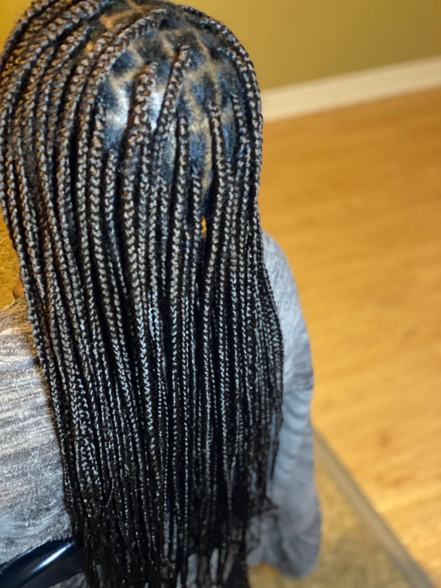 Simple_hair_braids