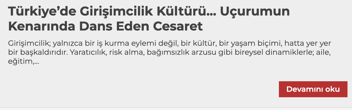 Türkiye’de Girişimcilik Kültürü... Uçurumun Kenarında Dans Eden Cesaret