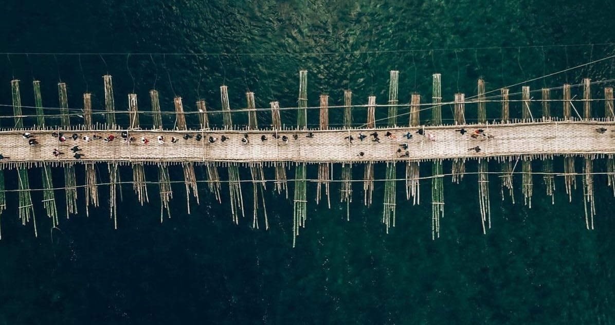 Damro : The Longest Hanging Bridge of Arunachal Pradesh