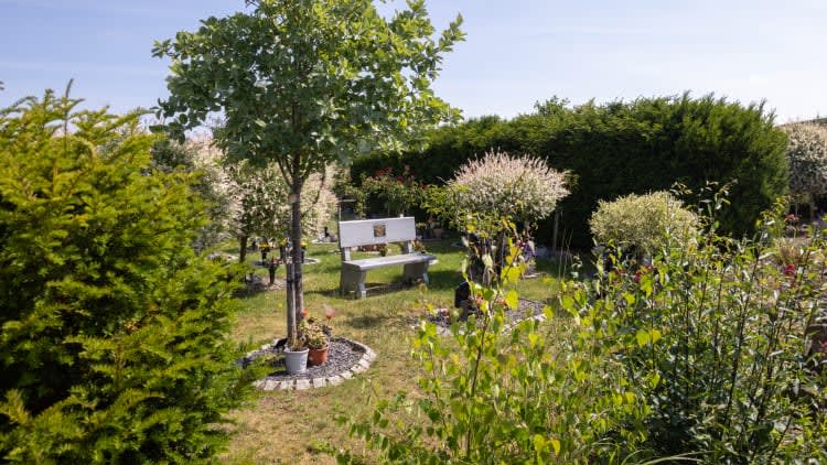 Guide To burying ashes