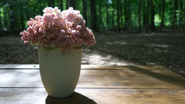 Laws & regulations on scattering ashes in UK