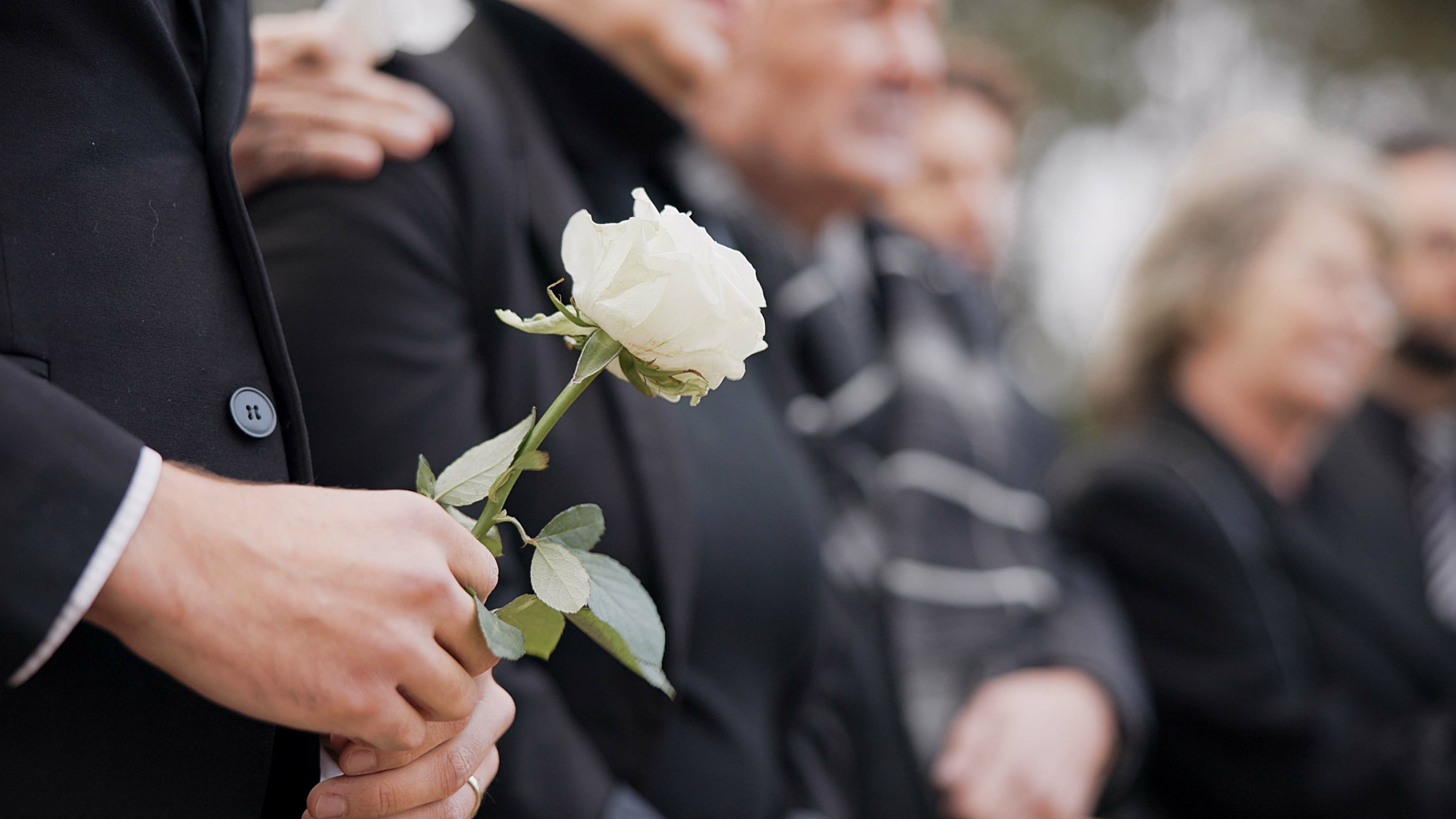 Person holding white rose