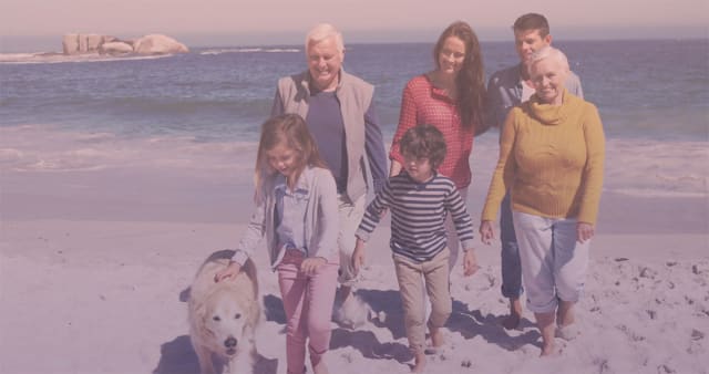Co-op Funeralcare vs Simplicity Cremations