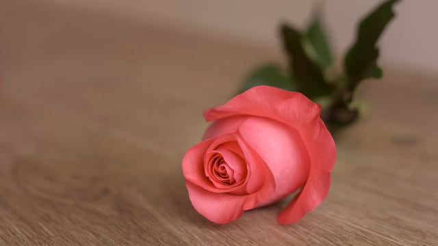 Arranging A Simple Funeral