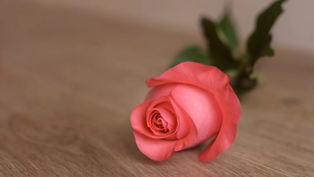 Arranging a simple funeral